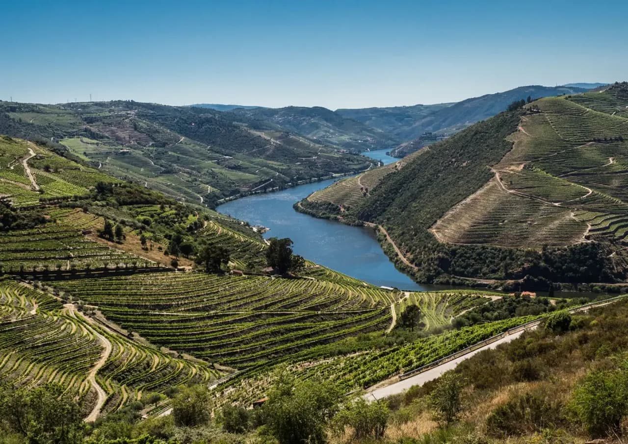 Vale do Douro — encostas socalcadas e o rio, território olivícola e vinhateiro